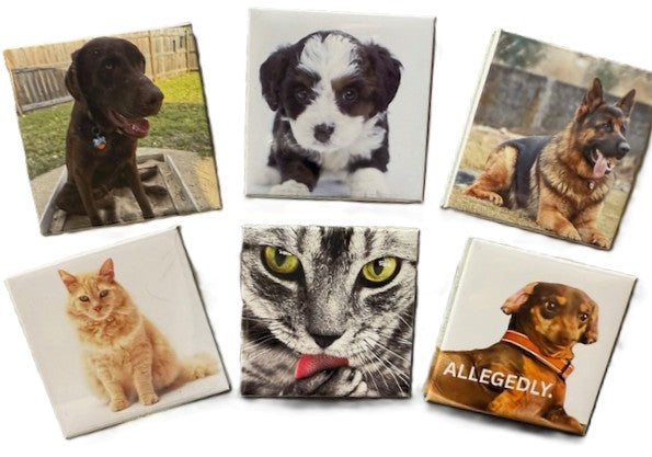 Custom 2"x2" Photo Magnets