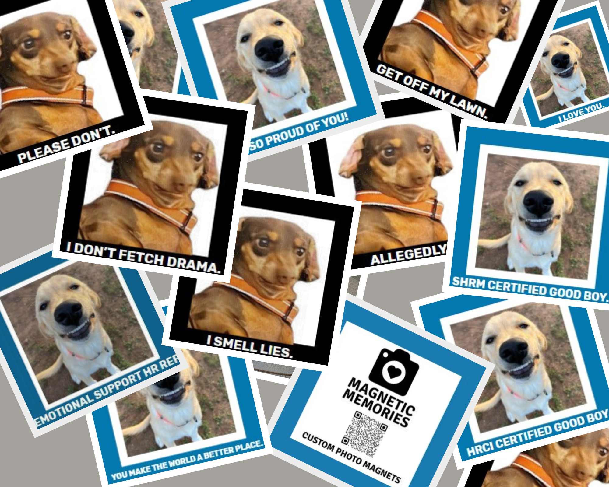 Funny Dogs &amp; Cats