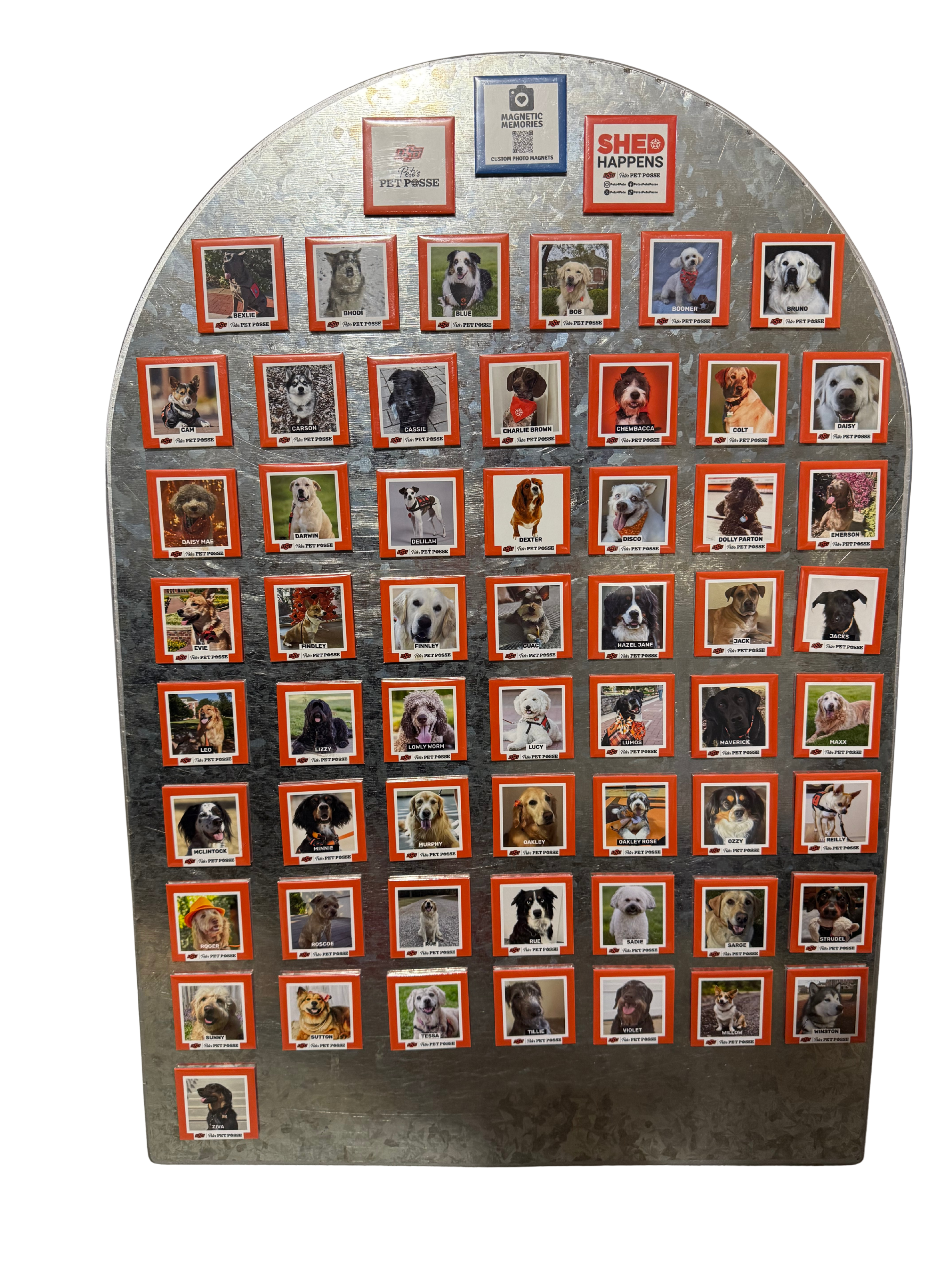 OSU STW P3 Pups - Full Set Bundle of 58 Magnets - $150