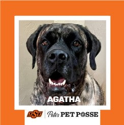 OSU Stillwater Pete's Pet Posse (P3) Photo Magnets