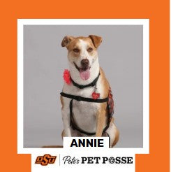 OSU Tulsa Pete's Pet Posse (P3) Photo Magnets