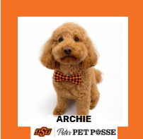 OSU Stillwater Pete's Pet Posse (P3) Photo Magnets