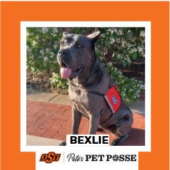 OSU Stillwater Pete's Pet Posse (P3) Photo Magnets