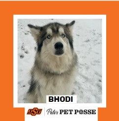 OSU Stillwater Pete's Pet Posse (P3) Photo Magnets