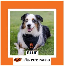 OSU Stillwater Pete's Pet Posse (P3) Photo Magnets
