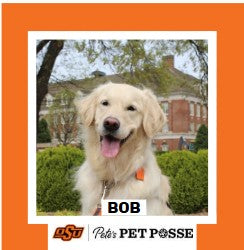 OSU Stillwater Pete's Pet Posse (P3) Photo Magnets