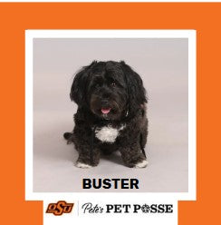 OSU Tulsa Pete's Pet Posse (P3) Photo Magnets