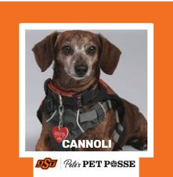 OSU Tulsa Pete's Pet Posse (P3) Photo Magnets