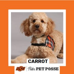 OSU Tulsa Pete's Pet Posse (P3) Photo Magnets
