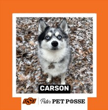 OSU Stillwater Pete's Pet Posse (P3) Photo Magnets