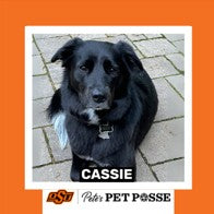 OSU Stillwater Pete's Pet Posse (P3) Photo Magnets