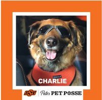 OSU Stillwater Pete's Pet Posse (P3) Photo Magnets