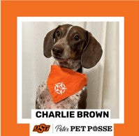 OSU Stillwater Pete's Pet Posse (P3) Photo Magnets