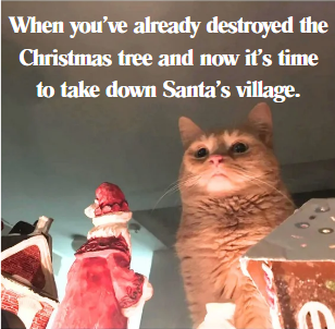 Funny Dog, Cat, Sasquatch & More! Magnets