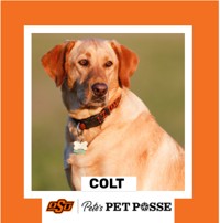 OSU Stillwater Pete's Pet Posse (P3) Photo Magnets