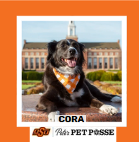 OSU Stillwater Pete's Pet Posse (P3) Photo Magnets