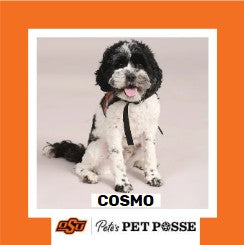 OSU Tulsa Pete's Pet Posse (P3) Photo Magnets