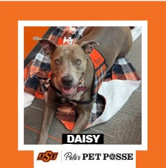 OSU OKC Pete's Pet Posse (P3) Photo Magnets