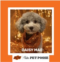 OSU Stillwater Pete's Pet Posse (P3) Photo Magnets