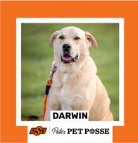 OSU Stillwater Pete's Pet Posse (P3) Photo Magnets