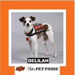 OSU Tulsa Pete's Pet Posse (P3) Photo Magnets