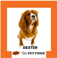OSU Stillwater Pete's Pet Posse (P3) Photo Magnets