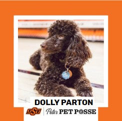 OSU Stillwater Pete's Pet Posse (P3) Photo Magnets