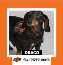 OSU Tulsa Pete's Pet Posse (P3) Photo Magnets