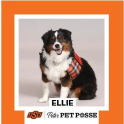 OSU Tulsa Pete's Pet Posse (P3) Photo Magnets