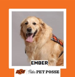 OSU Tulsa Pete's Pet Posse (P3) Photo Magnets
