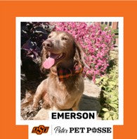 OSU Stillwater Pete's Pet Posse (P3) Photo Magnets