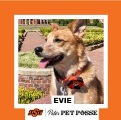 OSU Stillwater Pete's Pet Posse (P3) Photo Magnets