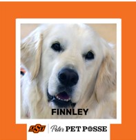 OSU Stillwater Pete's Pet Posse (P3) Photo Magnets