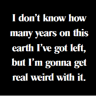 Funny Dog, Cat, Sasquatch & More! Magnets