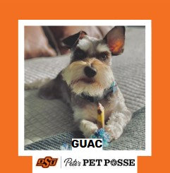 OSU Stillwater Pete's Pet Posse (P3) Photo Magnets