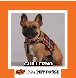 OSU Tulsa Pete's Pet Posse (P3) Photo Magnets