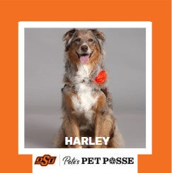OSU Tulsa Pete's Pet Posse (P3) Photo Magnets