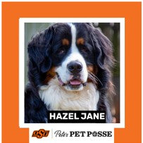 OSU Stillwater Pete's Pet Posse (P3) Photo Magnets