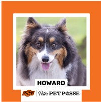 OSU Stillwater Pete's Pet Posse (P3) Photo Magnets