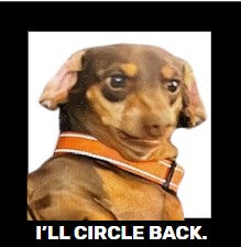 Funny Dog, Cat, Sasquatch & More! Magnets