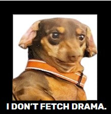 Funny Dog, Cat, Sasquatch & More! Magnets