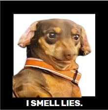 Funny Dog, Cat, Sasquatch & More! Magnets