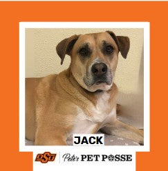 OSU Stillwater Pete's Pet Posse (P3) Photo Magnets