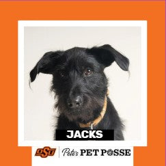 OSU Stillwater Pete's Pet Posse (P3) Photo Magnets