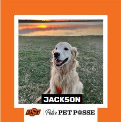 OSU Stillwater Pete's Pet Posse (P3) Photo Magnets
