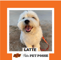 OSU Stillwater Pete's Pet Posse (P3) Photo Magnets