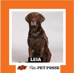 OSU Tulsa Pete's Pet Posse (P3) Photo Magnets