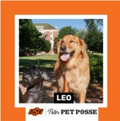 OSU Stillwater Pete's Pet Posse (P3) Photo Magnets