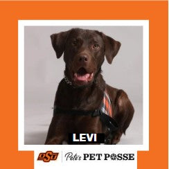 OSU Tulsa Pete's Pet Posse (P3) Photo Magnets