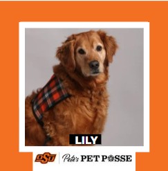 OSU Tulsa Pete's Pet Posse (P3) Photo Magnets